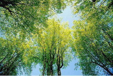 港服PS Plus三档会员新增多款试玩游戏：《最终幻想7：核心危机 重聚》等